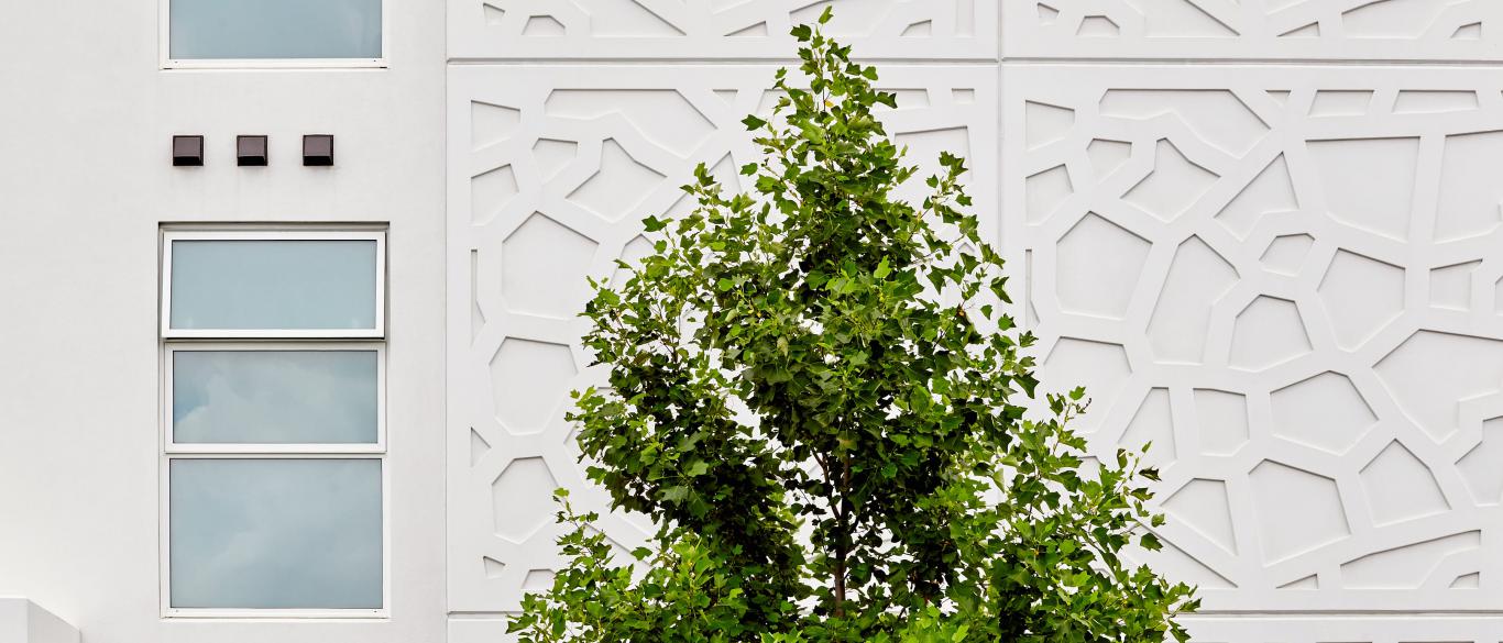 235 great north road grey lynn 826